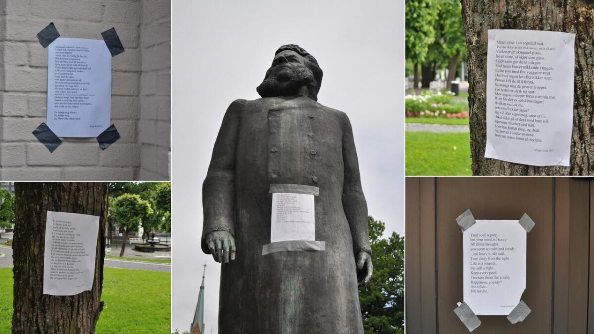 Dikter Pippi Pa Ferde I Sentrum