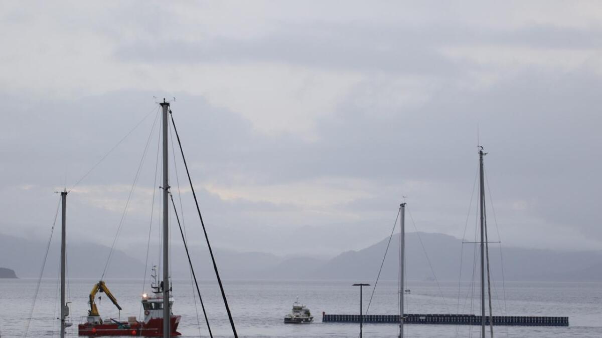 Den første bølgjebrytaren i ferd med å bli taua inn til Os hamn fredag morgon.