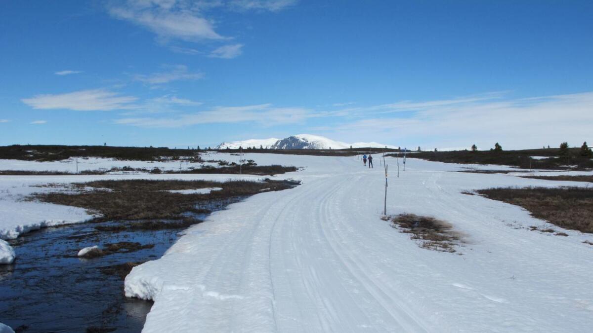 5. juni 2015 rann det bekkar langs sporet, men det var framleis skiføre på Golsfjellet.