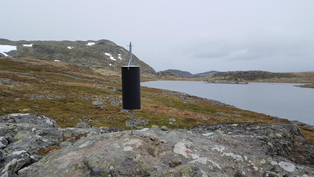 Mattilsynet vil forby bruk av saltsteinar i Nordfjella. Hol kommune fryktar det får konsekvensar for beitenæringa.