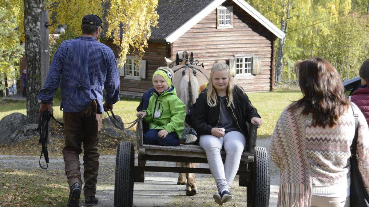 Hestekøyring med Knut Halvor Krusedokken er alltid eit populært innslag på aktivitetsdagane på Hallingdal Museum.