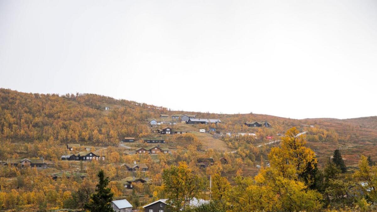 Hytter som her i Havsdalen ved Geilo er populære. Hol kommune ligg heilt i toppen på hyttesal i Norge siste fire åra.
