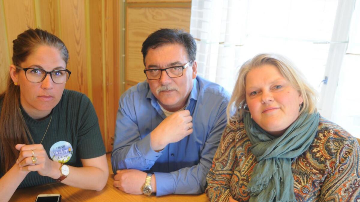 Ap-ordførarane Heidi Granli (Gol), Petter Rukke (Hol) og Solveig Vestenfor (Ål) synest det er ubegripeleg at toppleiinga i partiet har bestemt at dei vil støtte regjeringa i å leggje ned skattekontoret på Gol.