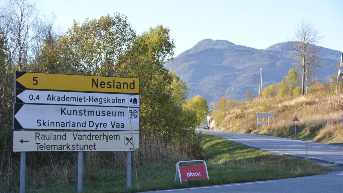 Vinje kommune prioriterer strekninga frå Neslandskrysset til Harkellstaul høgast på si liste. 	arkiv