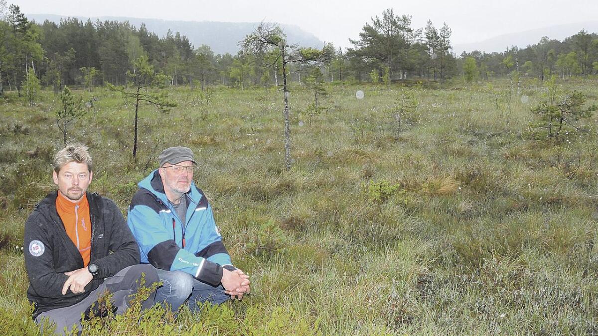 Privatpersonen Knut Oddvar Nes (t.v.) og styremedlem Torfinn Sanden i Naturvernforbundet i Telemark kjempar for at Torvmyrane ikkje blir industritomt, og ser gjerne at det blir ein miljørevisjon av området.