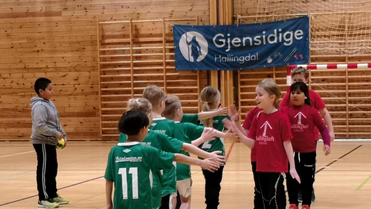 Spillere fra Flå, Nes, Gol og Ål deltok under sist helgs håndballcup i Ål idrettshall.