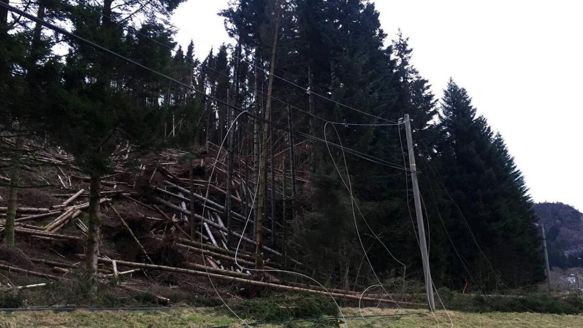 Vaktmannskapa til BKK er i sluttfasen med å rydda lina og strekkja ny i området i Hegglandsdalen som vart råka av trevelt tidlegare i dag.