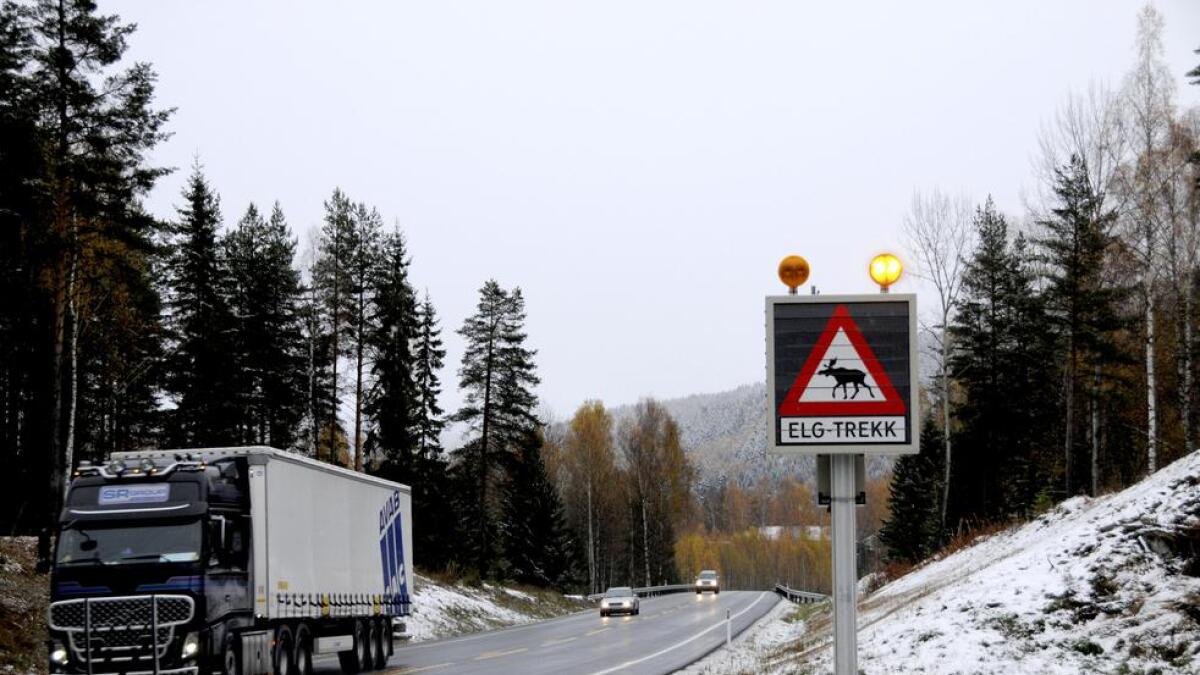 På Rv7 ved Aavestrud i Flå blir bilistane varsla dersom det er elg ved vegen.