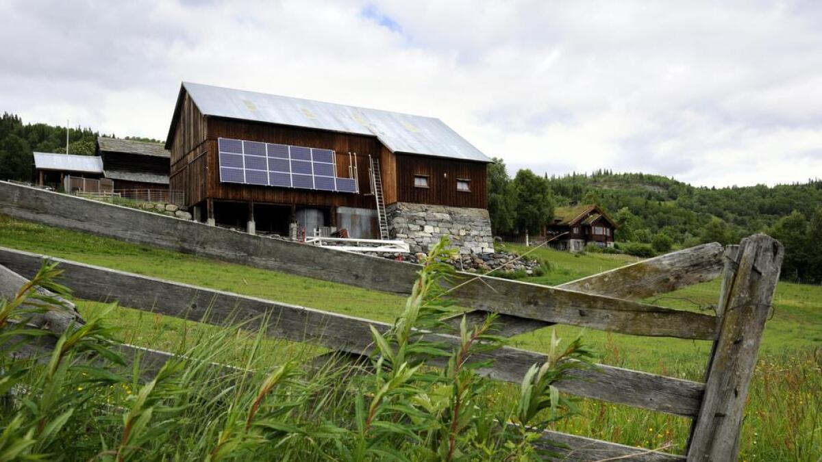 21 solcellepanel kan gje ein effekt på 5,4 kilowatt. – Eg håpar anlegget kan produsere 10–12.000 kilowattimar i året, seier Håkon Haug Laa.
