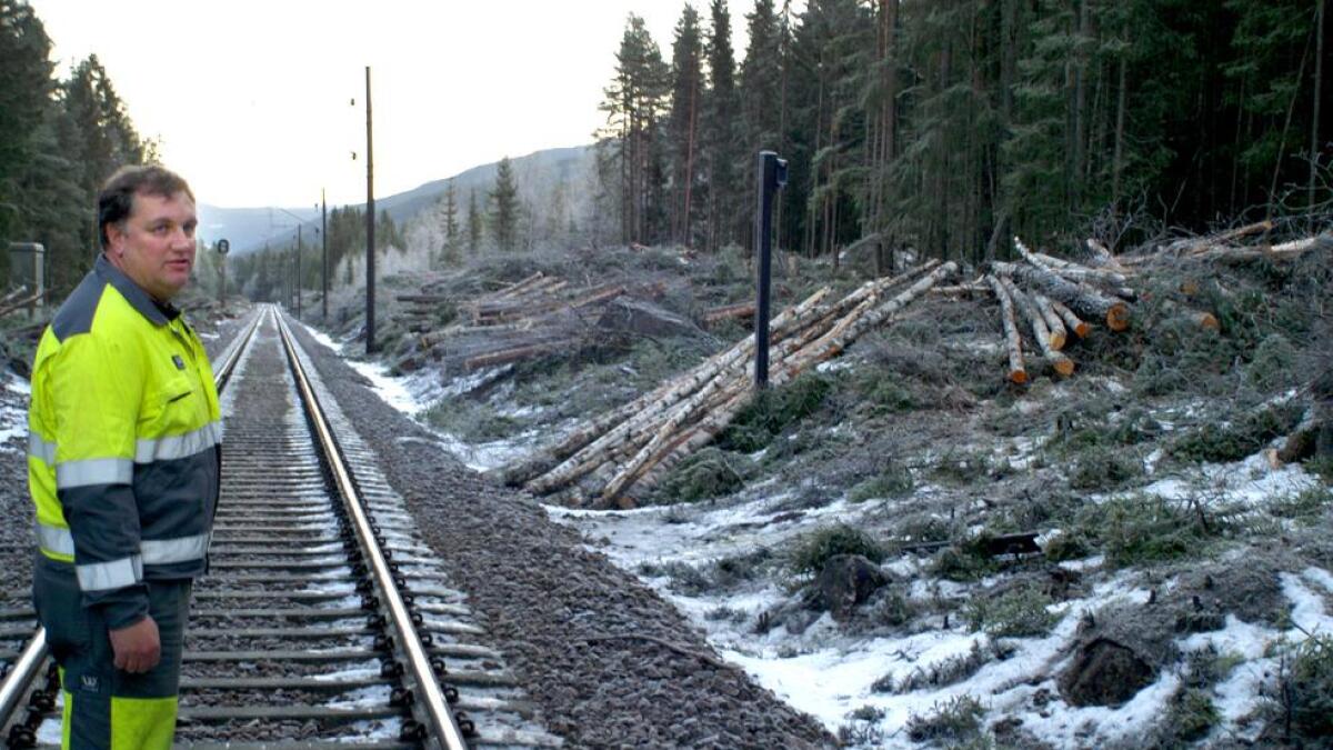 Millionane som er brukt langs jernbanen har redda mange elg-liv, slår byggeleiar Jon Anders Hefte fast.