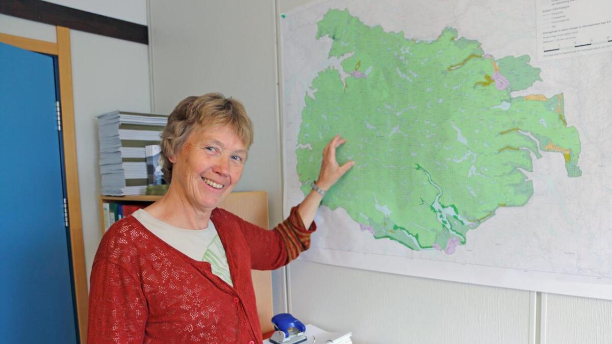Ellen Korvald i Buskerud fylkeskommune står for gjennomføringa av ein regionplan (villreinplan) for Norefjell/Reinsjøfjell villreinområde som skal vera klar før årsskiftet.