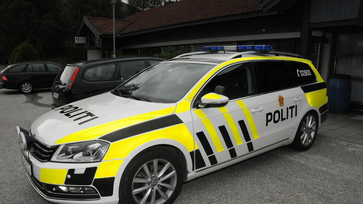 Politiet i Seljord har arrestert ein mann for vald mot ei kvinne under countryfestivalen.