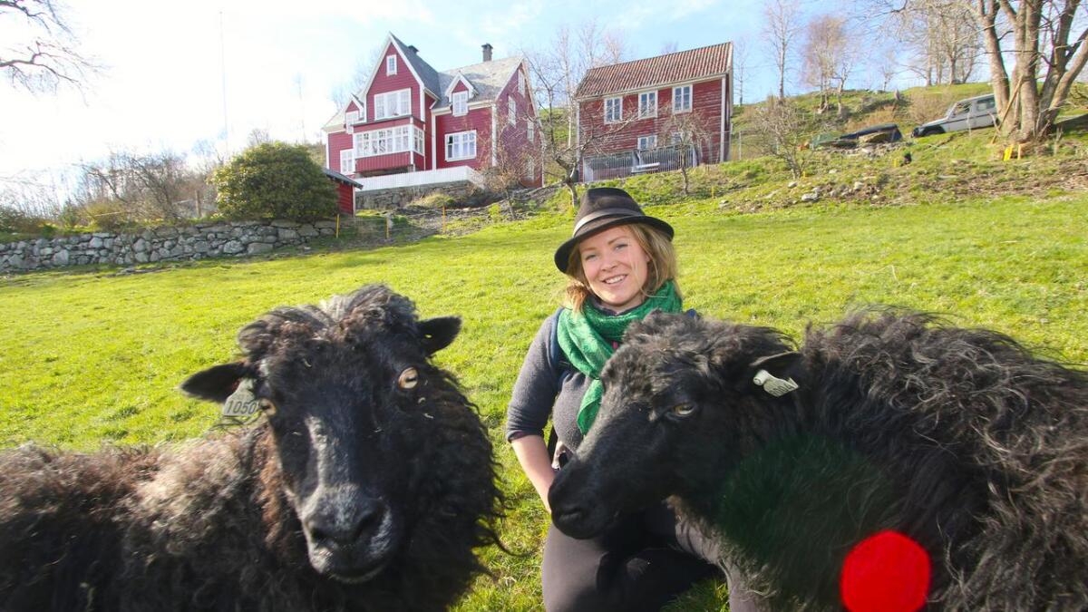 Tina Bøe Buer er odelsjente på Bøe gård. Ho har kring 60 drektige søyer denne våren. Til no har dei fått kring 70 lam. Her får ho selskap av Sofie og Pille.