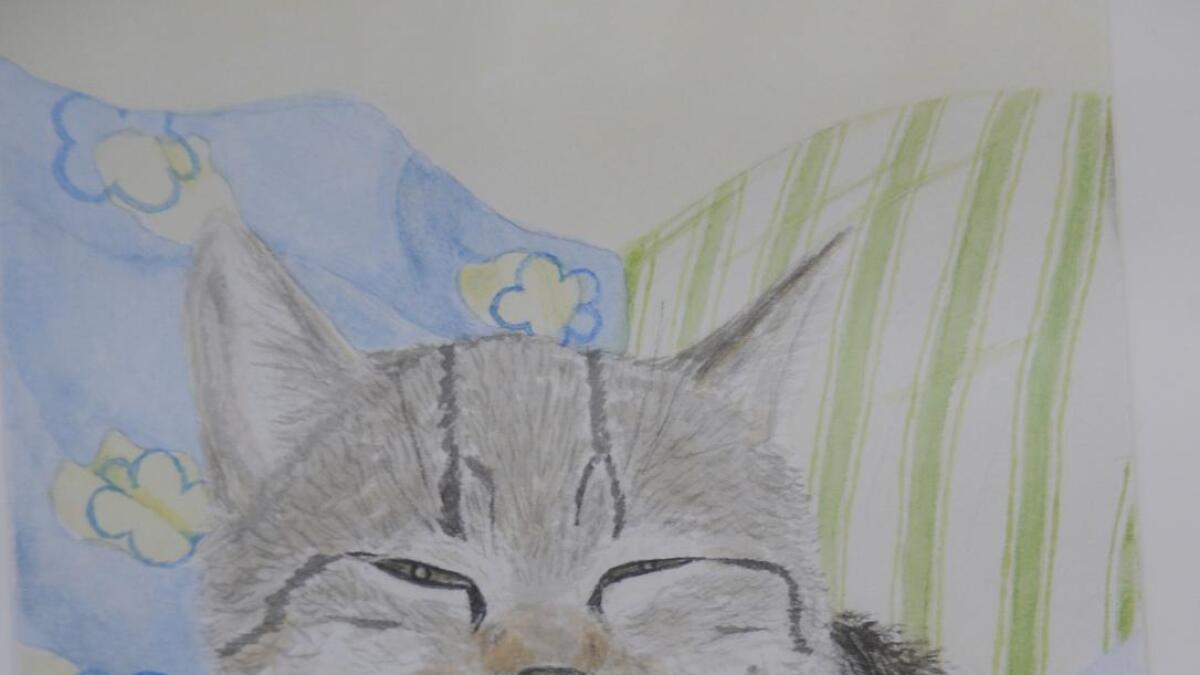 Lisbeth var berre 13 år gamal då ho teikna katten sin, Øystein. Akvarell.