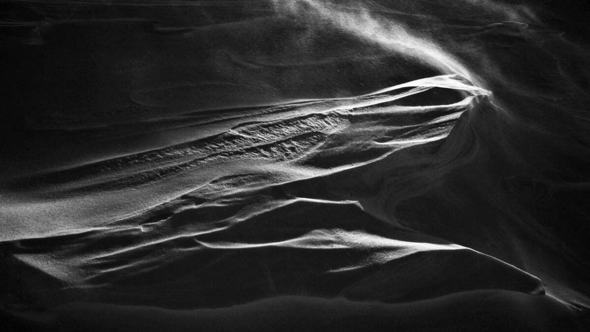 Rolf M. Aagaard. Snow. The shadows of Wind.