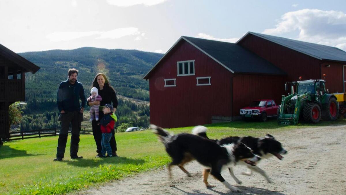 Sveinung Torsgard og Ingebjør Sørbøen Torsgard er blant dei 15 nominerte til å vinne «Årets unge bonde». Her er dei på heimgarden Leksvol i Øvre-Ål saman med sonen Håkon (3 år) og dottera Karoline (4 md.).