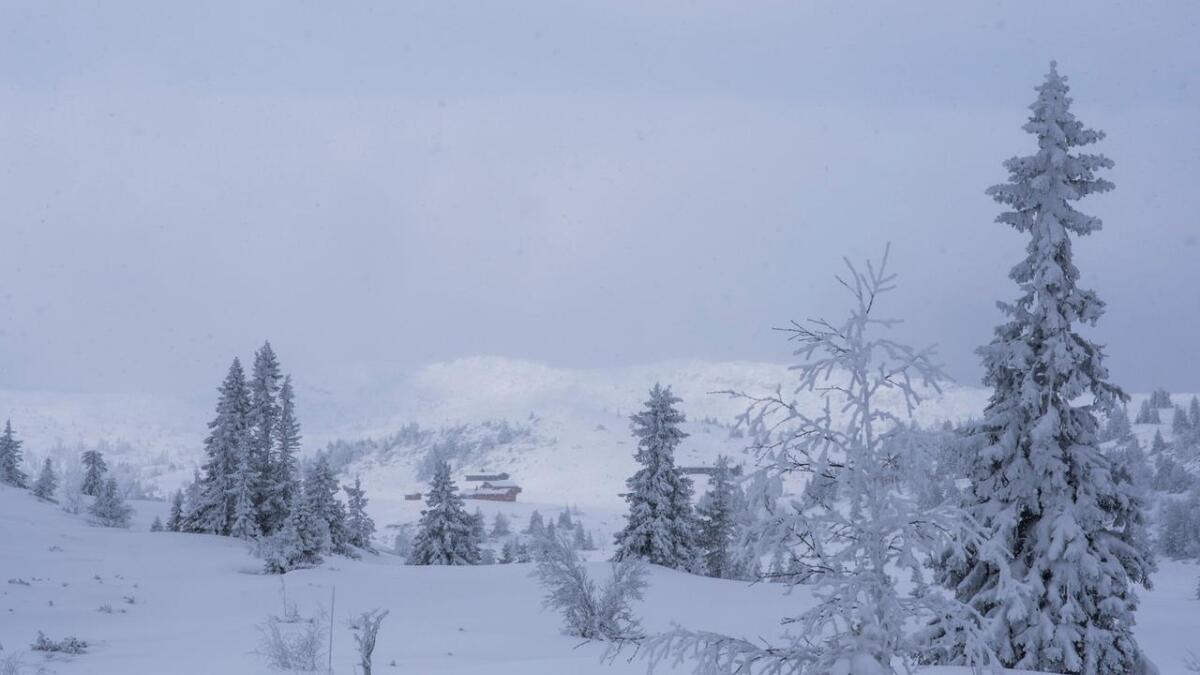 Langt inne i fjellet i ein praktfull fjellnatur ligg Valdreslie. For å kome hit vinterstid må ein ta skia fatt.