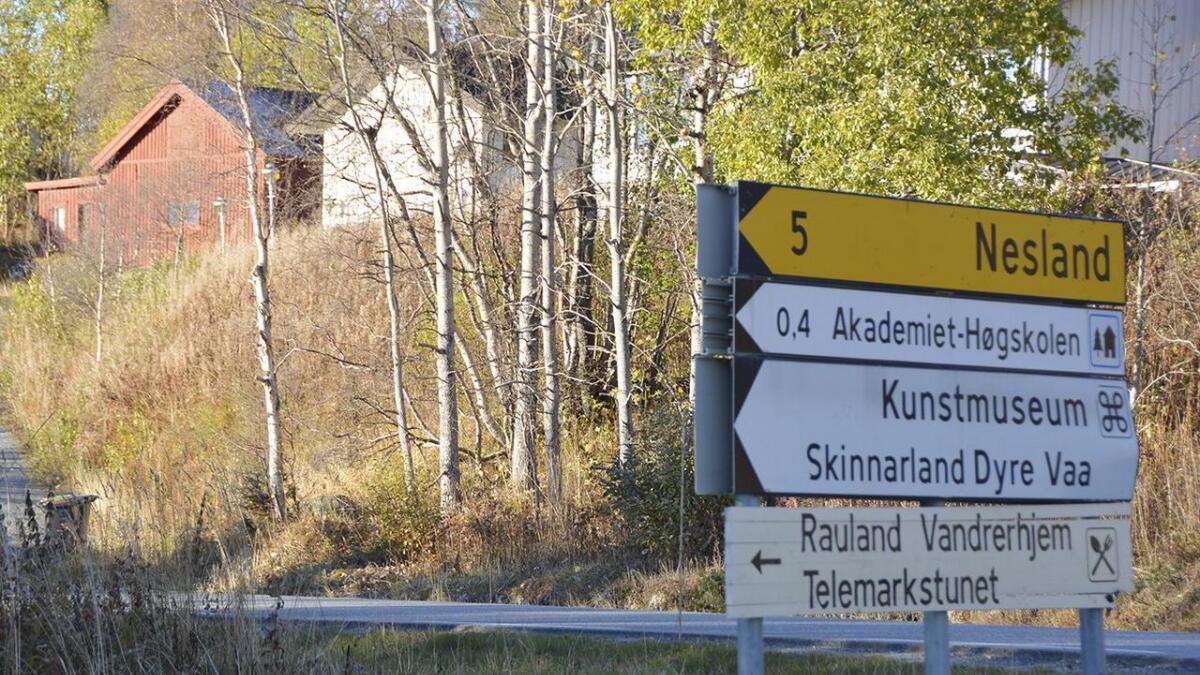 Neste etappe i utbygginga av gang- og sykkelveg mellom Neslandskrysset til Harkjellstaul.