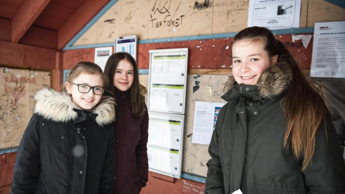 9.-klassingane Ingrid Aarsnes Brattegard, Karen Løkensgard og Heidi Strendo Leikvold har valfaget "Innsats for andre". No vil dei hjelpe folk med småjobbar.