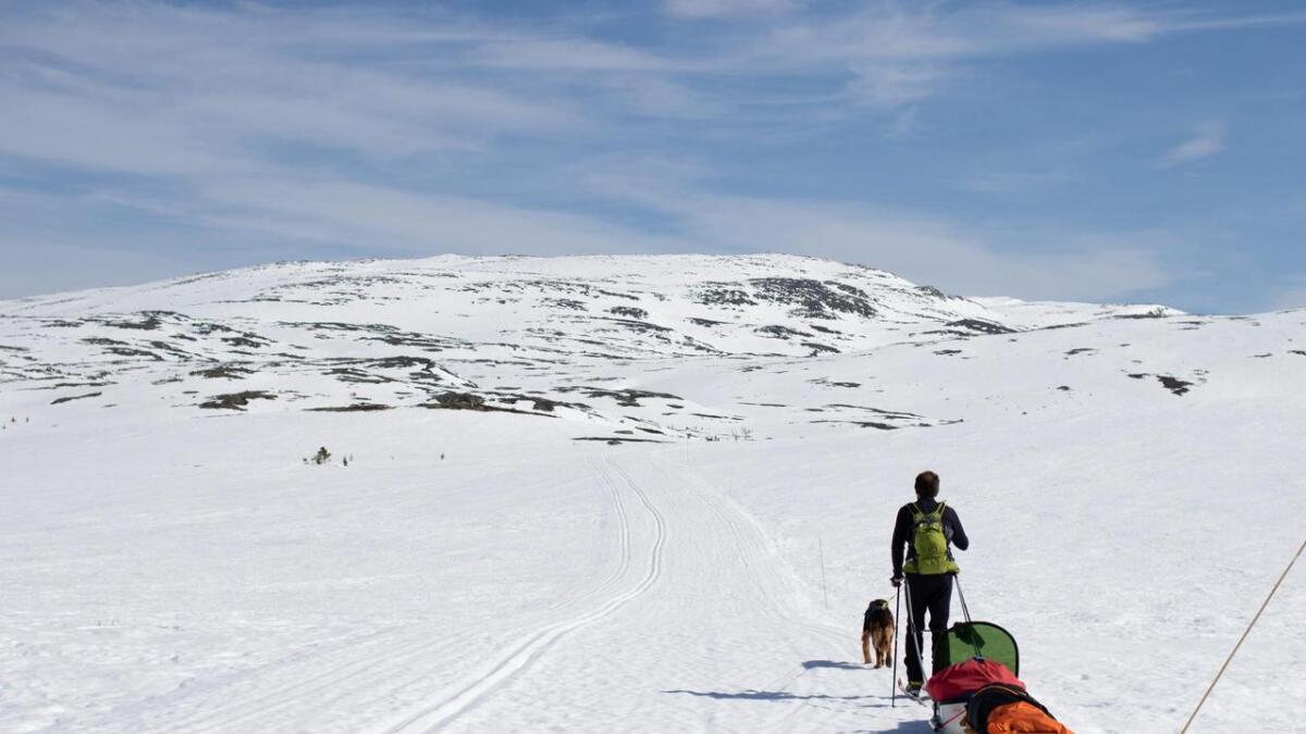 I løpet av pappapermen har Karl Dagfinn Brattegard unnagjort hundrevis av kilometer på ski saman med sonen Vetle.