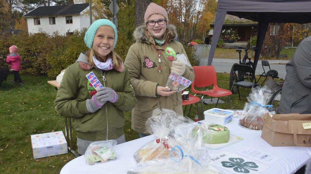 Fivil 4H på Rauland hadde kakebasar. Heidi Hervik (11) og Anna G. Clausen (11) var blide loddseljarar.
