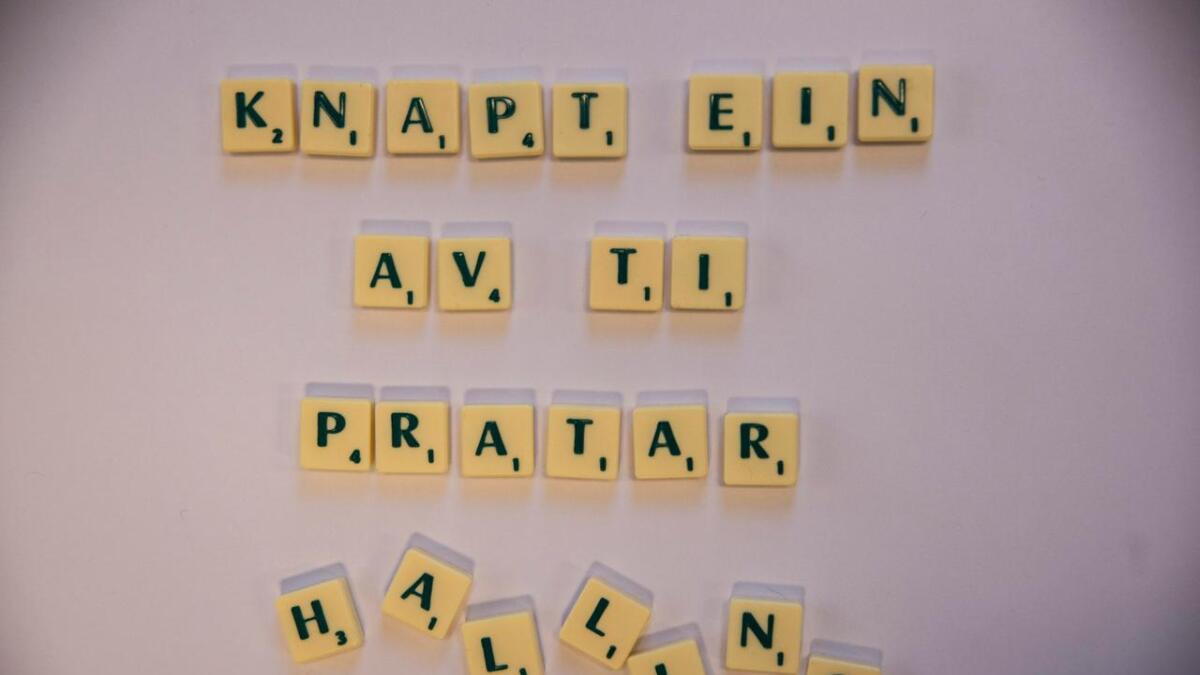 Ål og Hol slår seg saman for å arbeide for nynorsk og dialekt. (Arkivfoto)