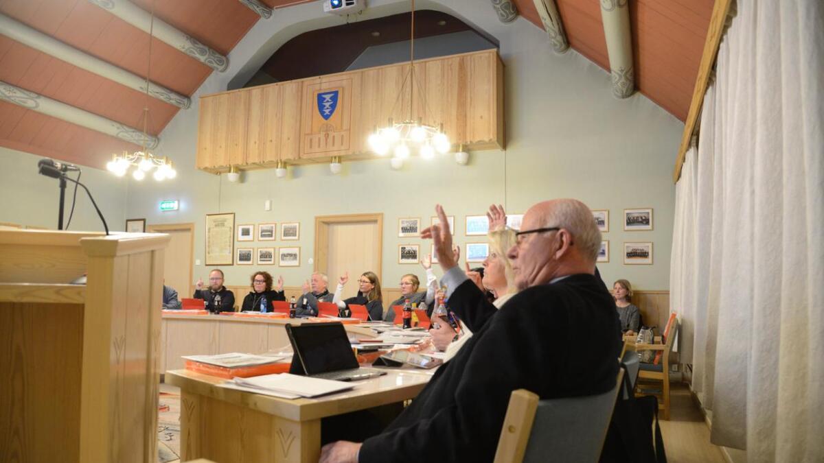 Kommunestyret i Hol skal onsdag stemme over kva for revisjonstenester kommune skal velje.
