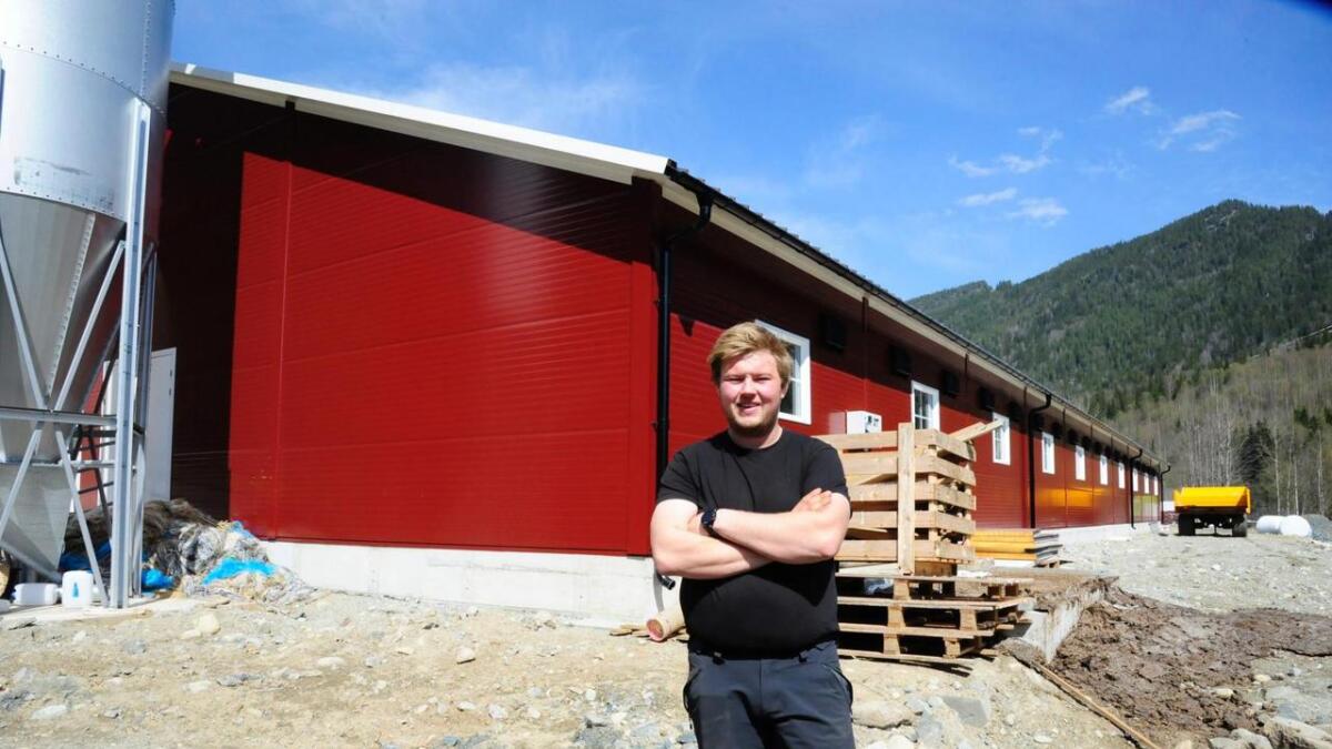 Mjølke- og ammekyrbonde Andre Trondrud i Nore har bygd ny driftsbygning på 1200 kvadratmeter på Gvammen.