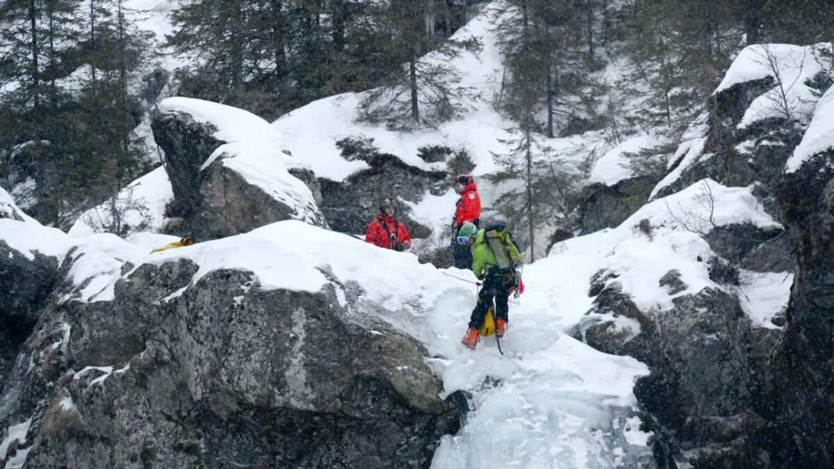 Dei alpine fjellredningsgruppene er profesjonelle. Dei er einaste organisasjonen 330 skvadronen har oppretta eit fast samarbeid med.