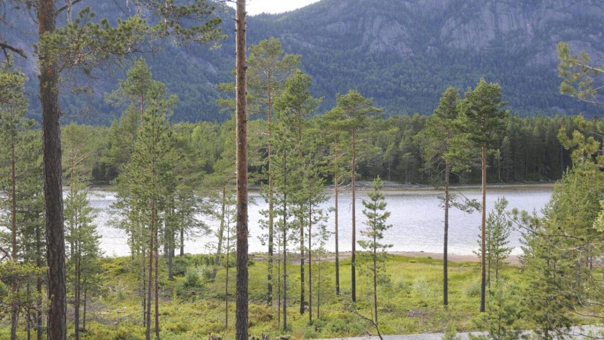 Reguleringa av Fyresvatn gjer at ein får meirkostnader på brua over til Kjeøyni. 	Båe