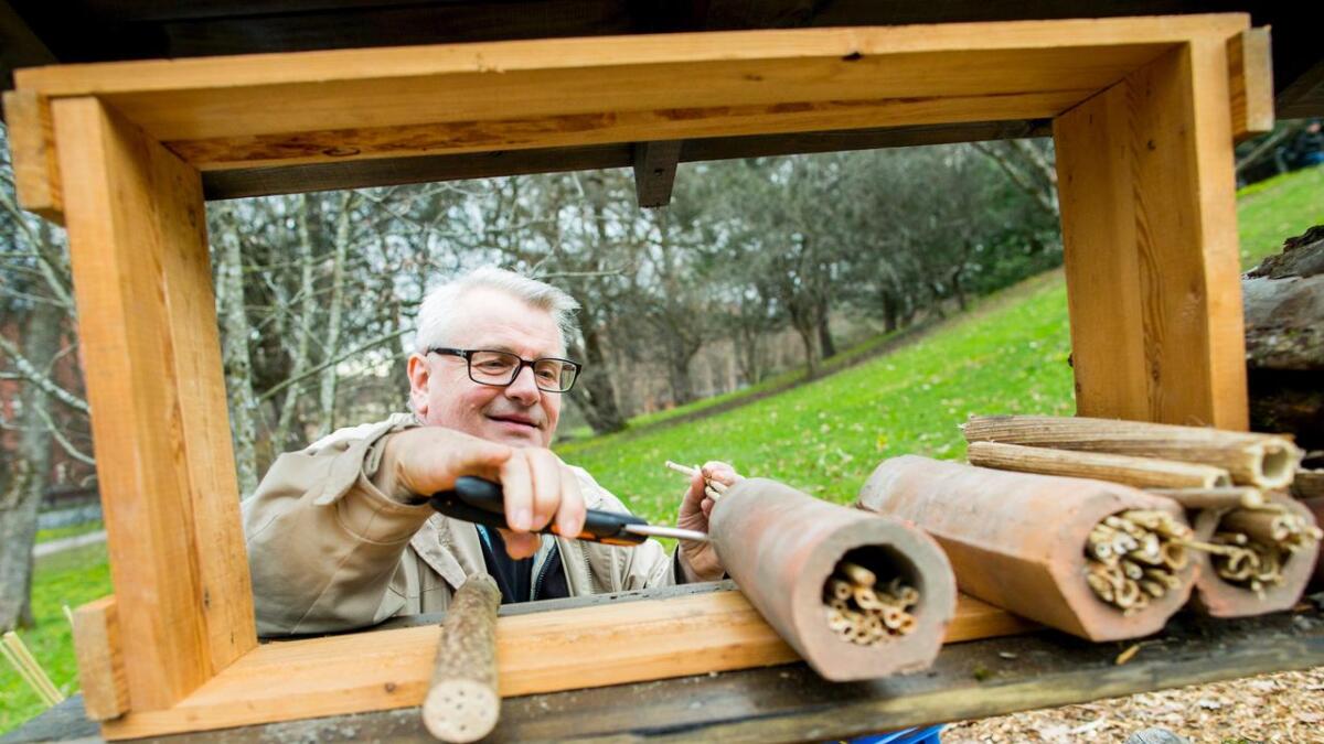 Entomolog Lars Ove Hansen viser hvordan man kan lage et hotell med rom for pollinerende insekter.