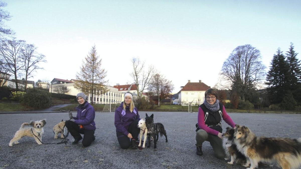 Os Hundeklubb har eksistert sidan 19080. Frå 1. desember står dei utan treningsbane, som dei er heilt avhengige av. Frå venstre - Elisabeth Ånensen, Stine Grytøyr og Tone Larsson.