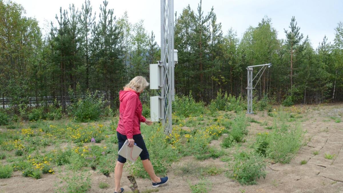 I fjor  sjekka meteorolog Aslaug Vannes frå Meteorologisk institutt målestasjonen på Gulsvik.