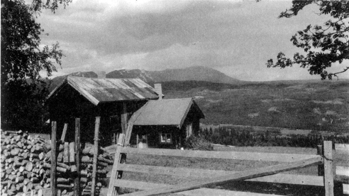 Tor Bråten i Gol hadde støl i Hemsedal. Der hadde han stølsbu som han leigde ut saman med jaktrett. Her flytta Peder Furubotn inn sommaren 1942.