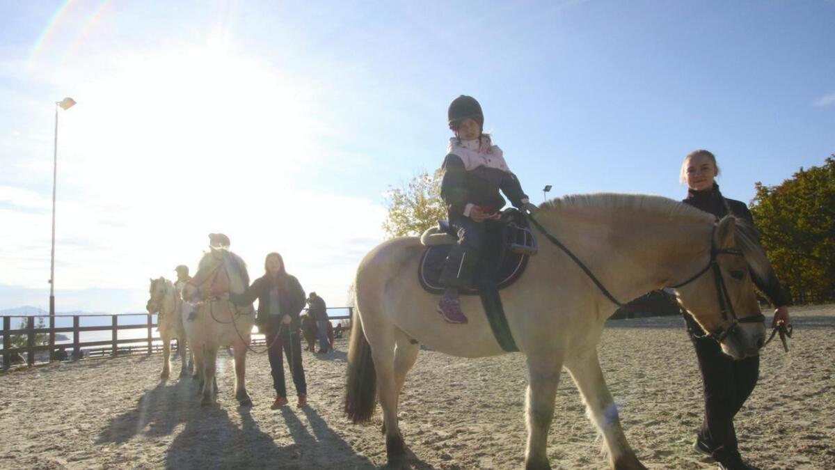 Fleire hesteglade gutar og jenter må søkja etter eit anna alternativ til rideskule, då Aktiv Hest AS har sagt opp kontrakten og legg ned rideskuletilbodet på Moldegaard frå sommaren av.