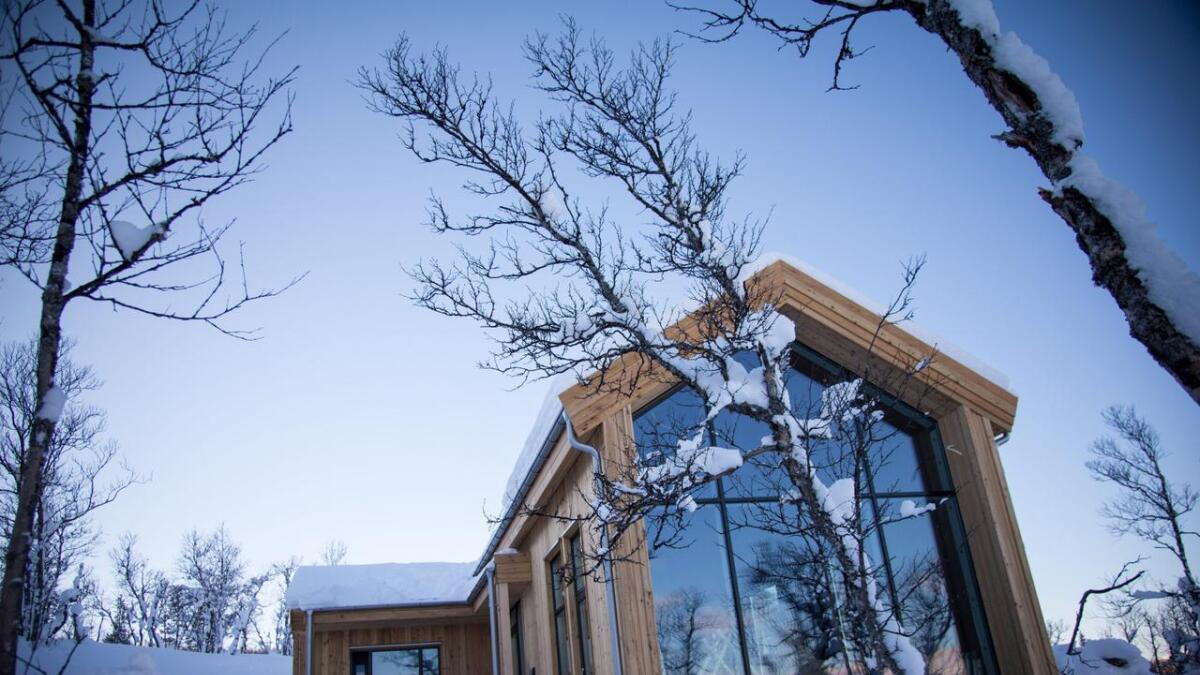 Ein kvartett leia av TV2-profil Harald Rønneberg har utvikla eit hyttekonsept i Uvdal. Men hyttene er tungselde.