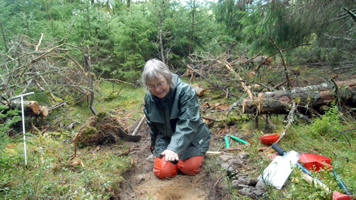 Fylkesarkeolog Ellen Anne Pedersen under utgravingsarbeid på Garnås for nokre år sidan. Ho trur det kan vere enda eldre busetjing på Garnås.