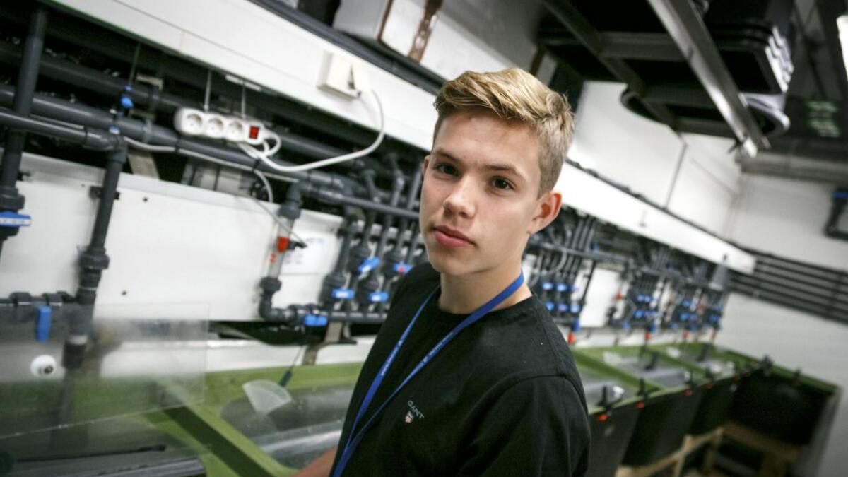 Nicolay Næss Boge (16) er Havforskningsinsti-tuttet sin første lærling i våtlaben på Nordnes. Nicolay går TAF Marin på Fusa vidaregåande skule.