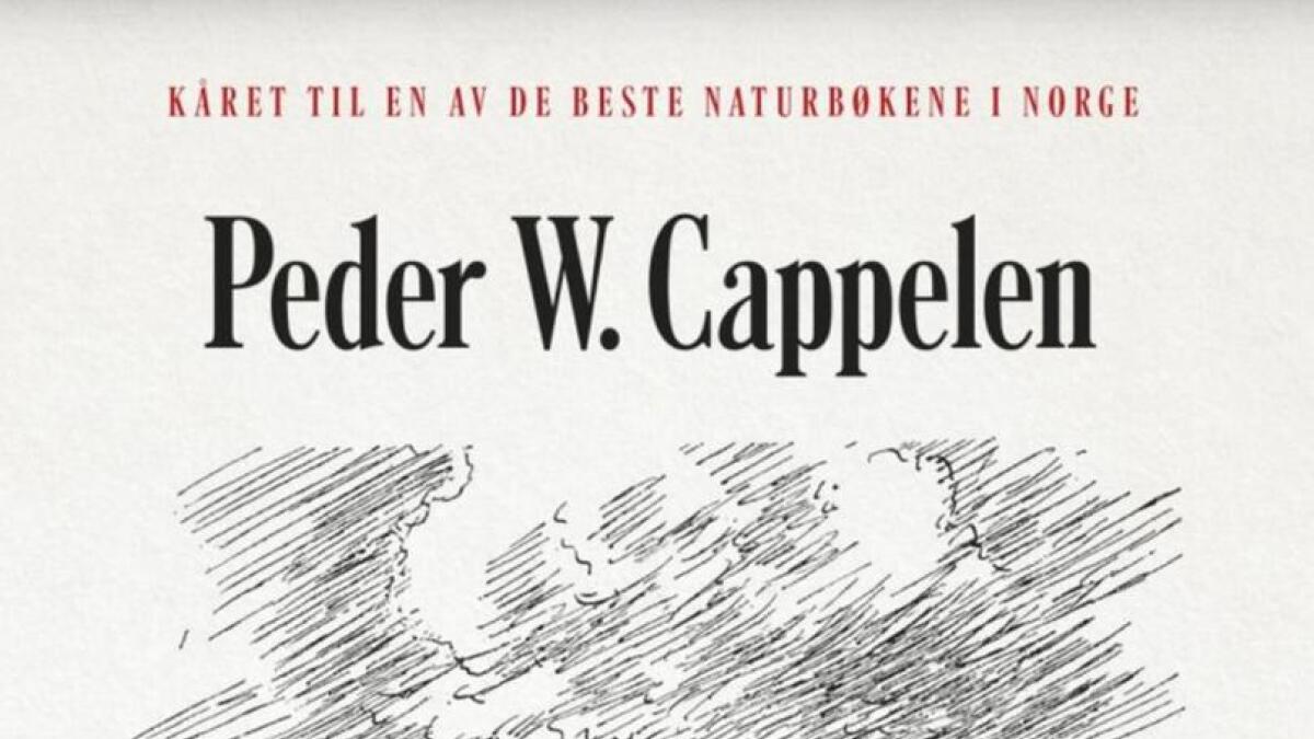 «Alene med vidda» av Peder W. Cappelen.