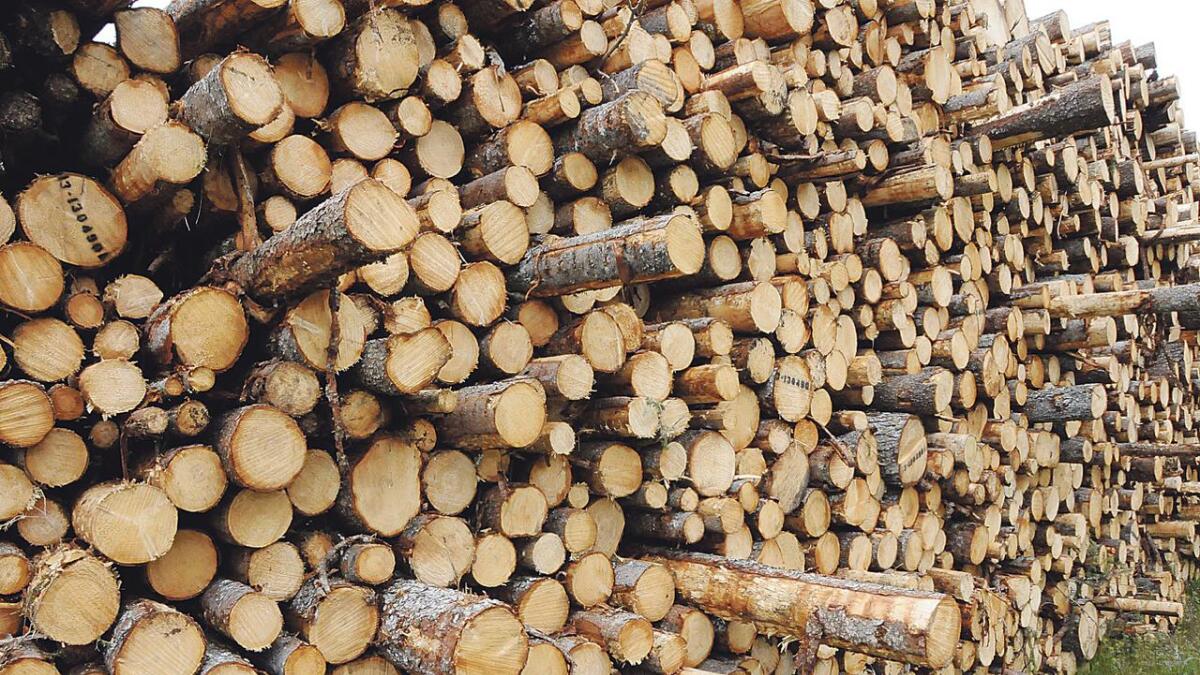 I Vest-Telemark blei det både i 2016 og 2017 hogd over 160 000 kubikkmeter tømmer gjennom AT Skog, noko som tilsvarar over 4 000 tømmerlass årleg.