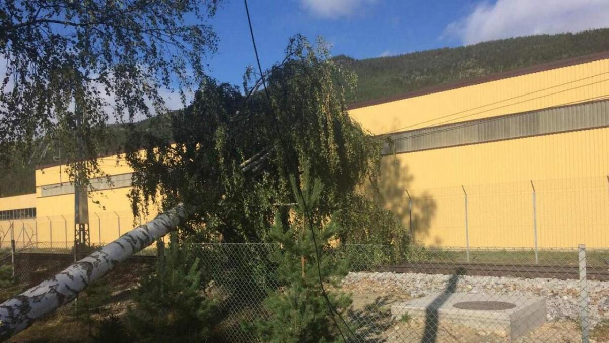 Den kraftige vinden sundag ettermiddag har skapt trøbbel for togtrafikken. Ved Nesbyen stasjon bles eit tre over ende og gjorde skade på køyreleidningen.