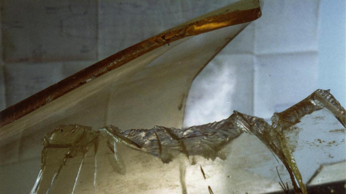 Cockpitdekselet som fuglen slo hol på er 15 millimeter tjukt. Det vart også bøygd innover i ei bølge som forplanta seg bakover heit til dekselet sprakk.