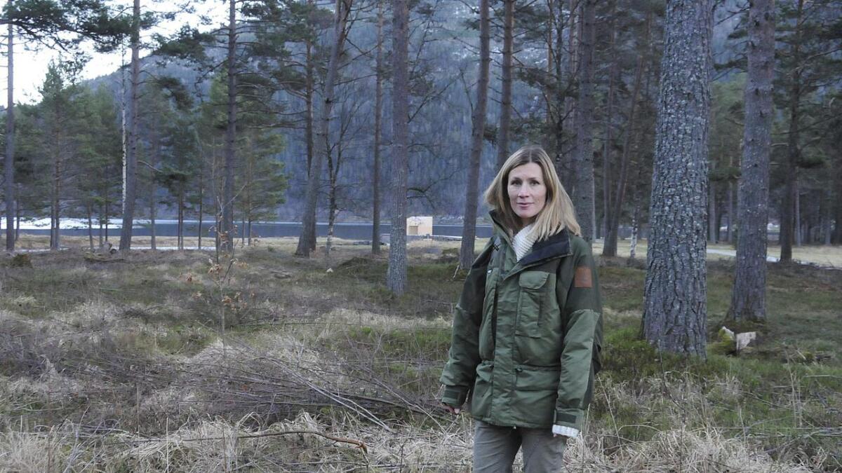 leiar i Miljøpartiet Dei Grøne i Vest-Telemark, Benedikte Nes, er frustrert over at kommunestyret ynskjer å byggje leilegheiter på Tangane.