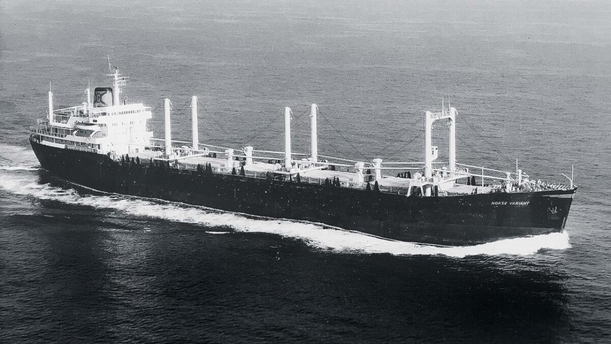 MS Norse Variant var bygd i Uddevalla i Sverige i 1965. 22. mars 1973 forliste skipet i eit forrykande uvêr utanfor New Jersey på austkysten av Amerika. Om bord var mellom anna ein 26-åring frå Rauland. 29 av mannskapet på 30 mista livet i forliset.