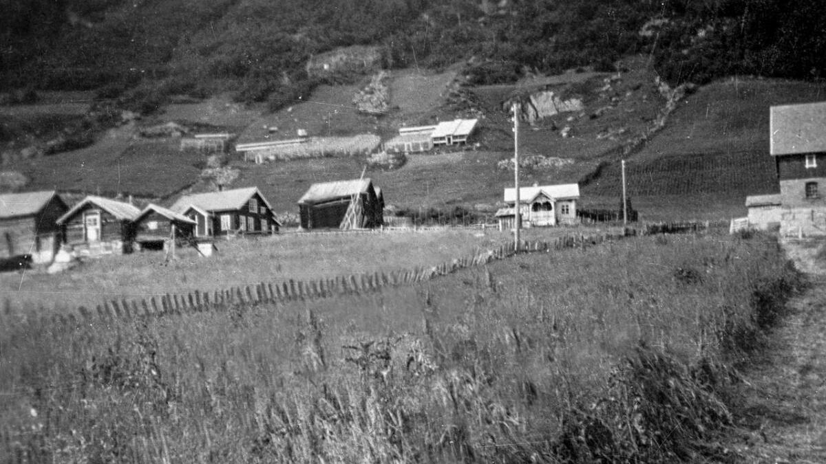 Røvsgarden på Meshus frå 1928 oppi skogkanten øvst på biletet. Nedafor den nye røvsgarden, til venstre kvelpeskuret. Lengst til venstre røvsgarden til søre Nestegard.