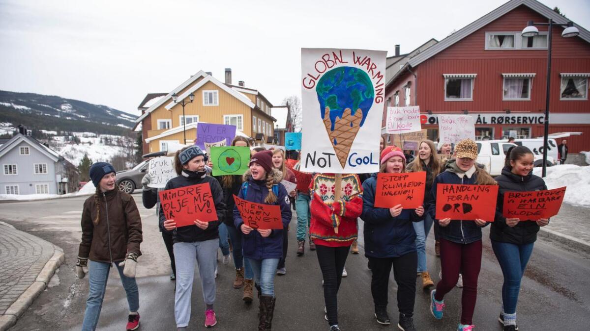 Ungdomskuleelever streika for klimaet og demonstrerte foran Tingstugu i Ål.