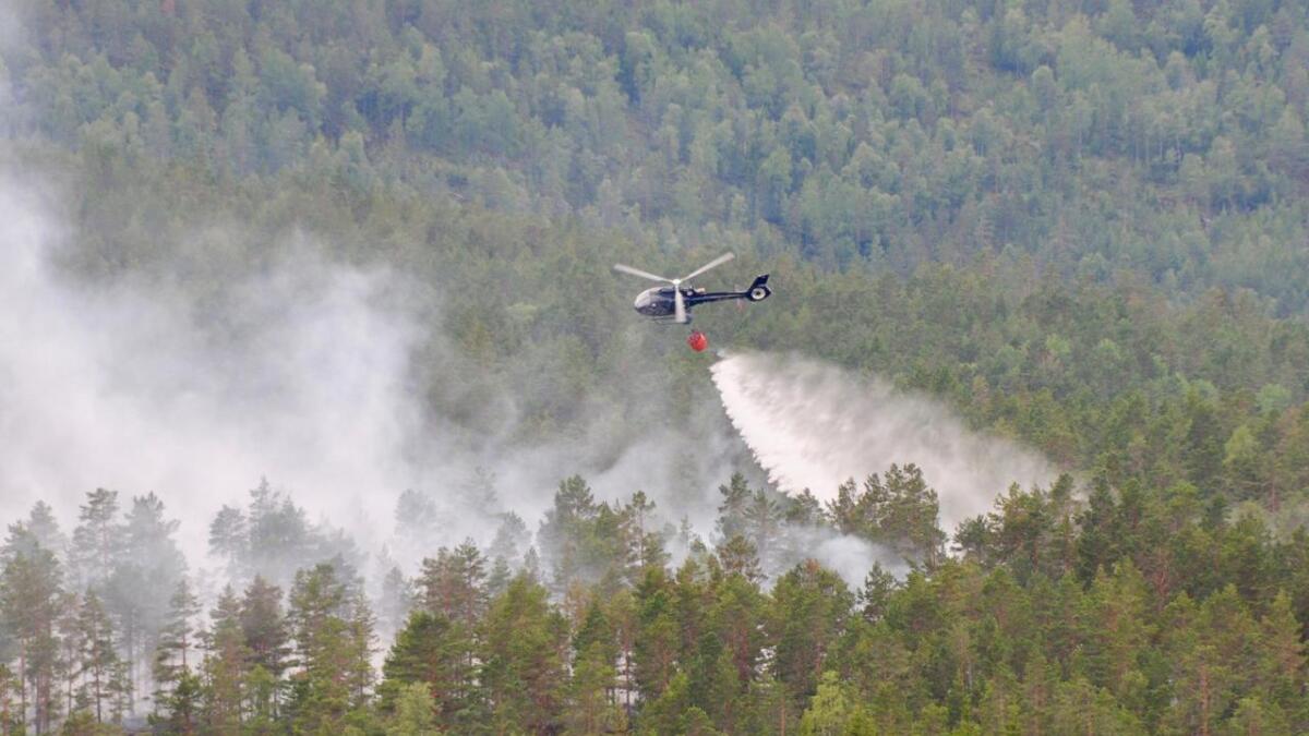 Då det vart skogbrann i Heimdalsheia i Treungen fekk brannmannskapa hjelp frå helikopter til slokking.