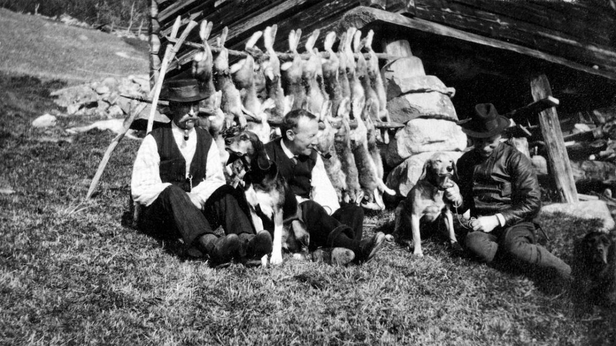 Familien Salicath frå Oslo var mykje i Dagali tidleg på 1900-talet. Dette biletet viser fangsten etter ein jakttur. Hundane «Hallo» og «Møkkahei» hadde gjort jobben denne dagen.