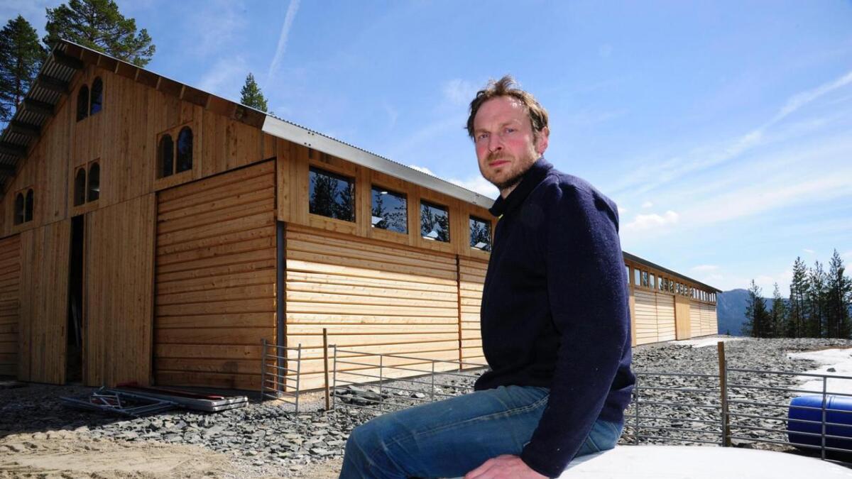 Vebjørn Enerstvedt (35) har bygd ny driftsbygning for sau i sjølvhogd laftatømmer på 750 kvadratmeter i Åsbøgrend i Nore.