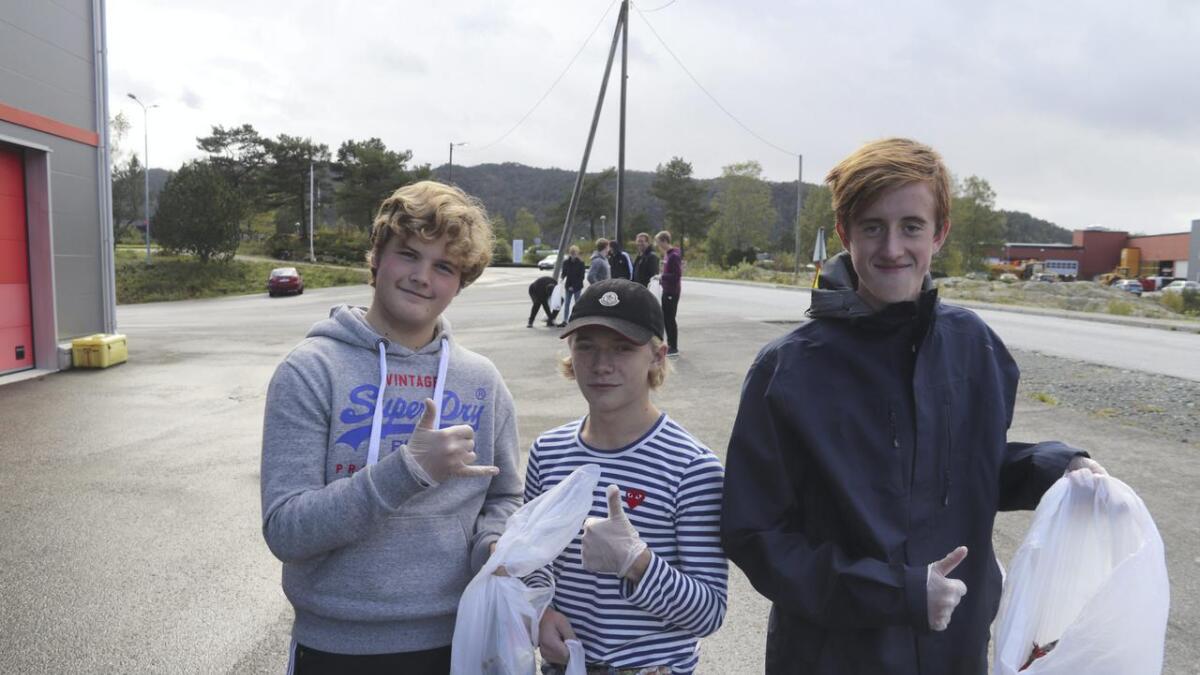 Egil Bødtker, Sander Haglund og Erik Øye kosa seg med bossplukking i skuletida fredag.